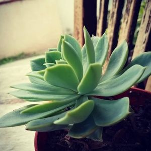 Meet your Posher, Cathern